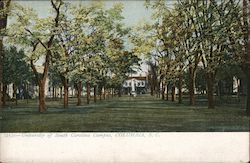 University of South Carolina Campus Postcard