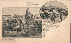 Greetings From New Orleans Postcard