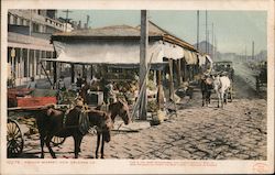French Market Postcard