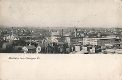 Bird's Eye View Postcard