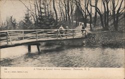 A View in Laurel Grove Cemetery Postcard