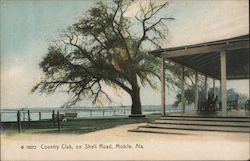 Country Club on Shell Road Postcard