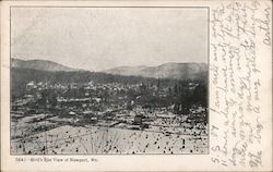 Bird's Eye View of Newport, Wn. Postcard
