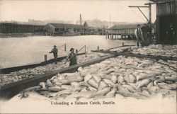 Unloading a Salmon Catch Postcard