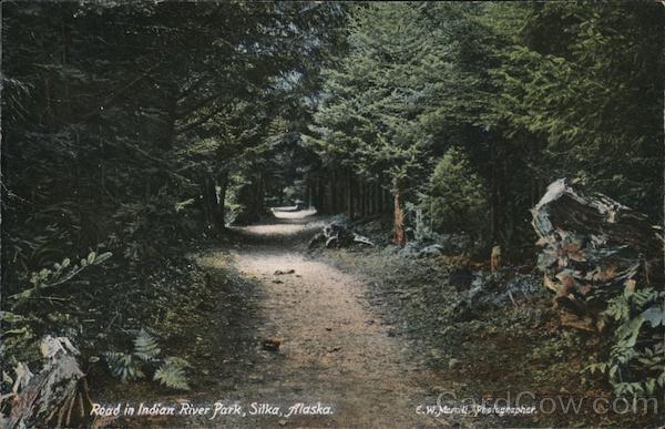 Road in Indian River Park Sitka Alaska