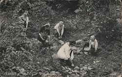 Entrance at Bear Cave Postcard