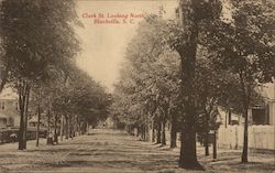 Clark St. Looking North Blackville, SC Postcard Postcard Postcard