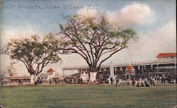 Fair Grounds Postcard