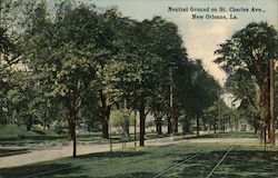 Neutral Ground on St. Charles Ave. Postcard