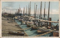 Oyster Luggers Postcard