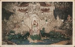 View of the Foot of the Falls, The Cave Postcard