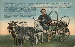 Rocky Mountain Goat Team - Amputee? Postcard