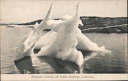 Fantastic Iceberg off Battle Harbour, Labrador Postcard
