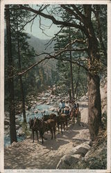 On El Portal Stage Road Postcard