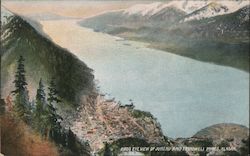 Birds Eye View of Juneau and Treadwell Mines Alaska Postcard Postcard Postcard