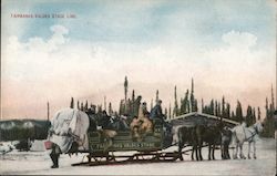 Fairbanks-Valdes Stage Line Alaska Postcard Postcard Postcard