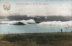 Among the Icebergs in Glacier Bay Alaska Postcard Postcard Postcard