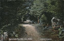 Road in Indian River Park Postcard