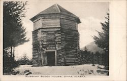 Russian Block House Postcard