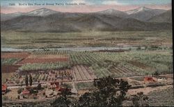Bird's Eye View of Grand Valley Orchards Postcard