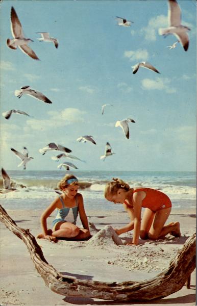 Gulls And Girls Having Fun Myrtle Beach South Carolina
