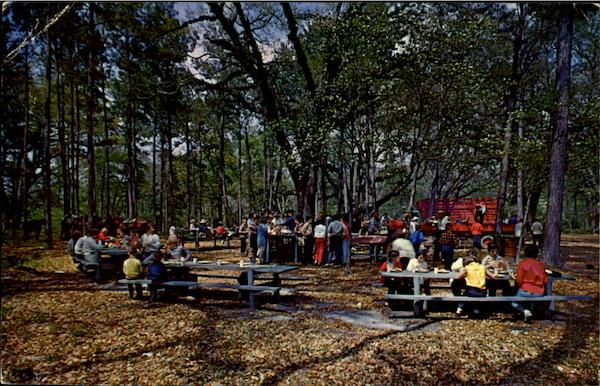 Picnic Area At Gulf Hills Dude Ranch And Country Club Ocean Springs Mississippi