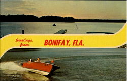 Greetings From Bonifay Postcard