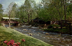 Caro Mi Dining Room, 1433 Hwy. 176 N Tryon, NC Postcard Postcard