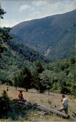 Smoke Hole Country Postcard