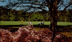 Callaway Gardens Pine Mountain, GA Postcard Postcard