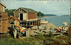 A Peaceful Inlet Maine Postcard Postcard