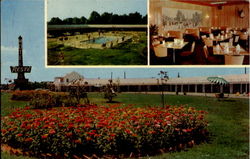 Reste Motel, U. S. Route 301 Postcard