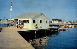 Pier At Dewey Beach Postcard