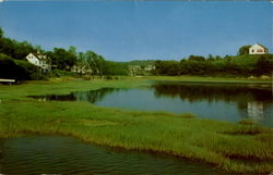 A Typical Cape Cod Scene Massachusetts Postcard Postcard