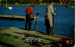 Scooping Oysters Postcard