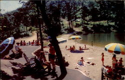 Eagles Terrace And Alpine Beach Lake Mohawk Postcard