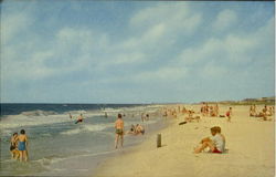 Gulf Shores Postcard