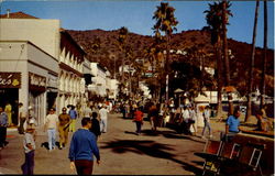 Avalon Santa Catalina Island, CA Postcard Postcard