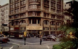 The Golden Pheasant Restaurant San Francisco, CA Postcard Postcard