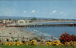 Cowell Beach Postcard