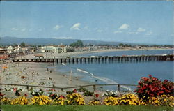 Cowell Beach Santa Cruz, CA Postcard Postcard