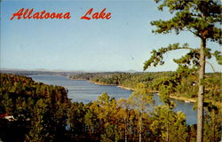Allatoona Lake Postcard