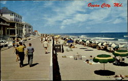 Ocean City Maryland Postcard Postcard