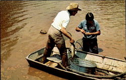 The Fishing's Good In Miss Lillian's Pond For Jimmy Carter PlaINS, GA Postcard Postcard