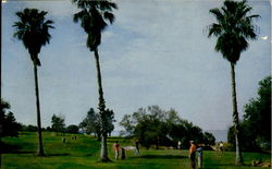 Belleview Biltmore Belleair, FL Postcard Postcard