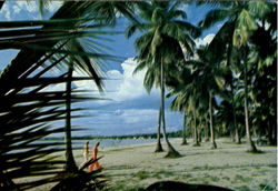 Public Beach At Boqueron Cabo Rojo, Puerto Rico Postcard Postcard