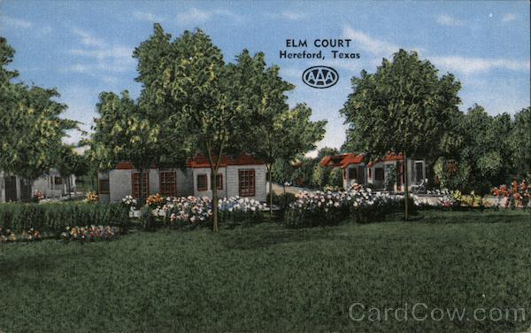 Elm Court Hereford Texas