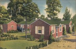 Tampa Auto Haven Postcard