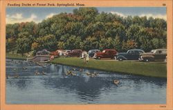 Feeding Ducks at Forest Park Postcard