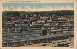 Bird's Eye View of Business Section Postcard